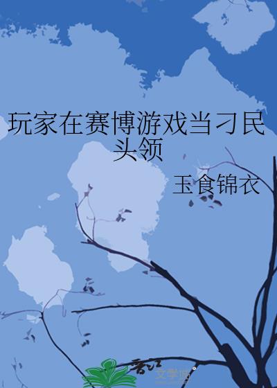 玩家在赛博游戏当刁民头领