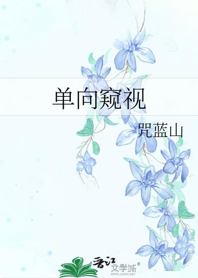 单向窥视