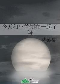 今天和小首领在一起了吗